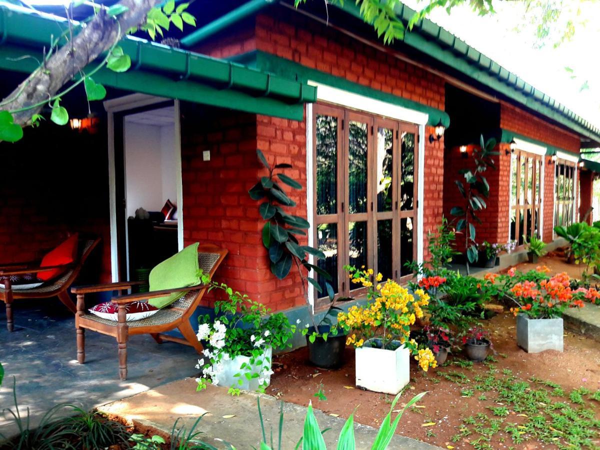 Sunshine Resort & Spa Sigiriya Exterior foto